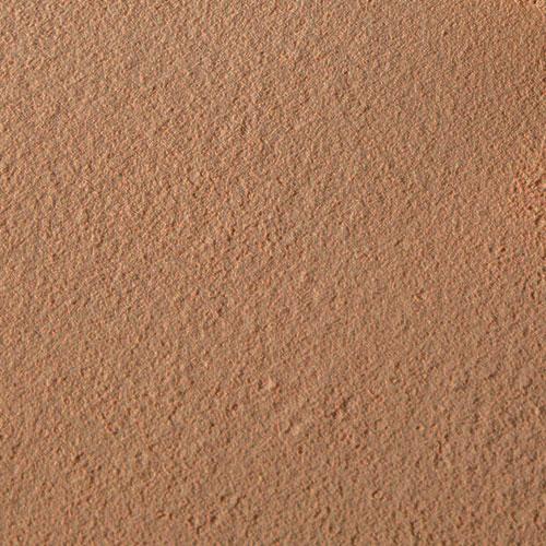 Thin Lizzy - 6in1 Professional Powder  - Swatch